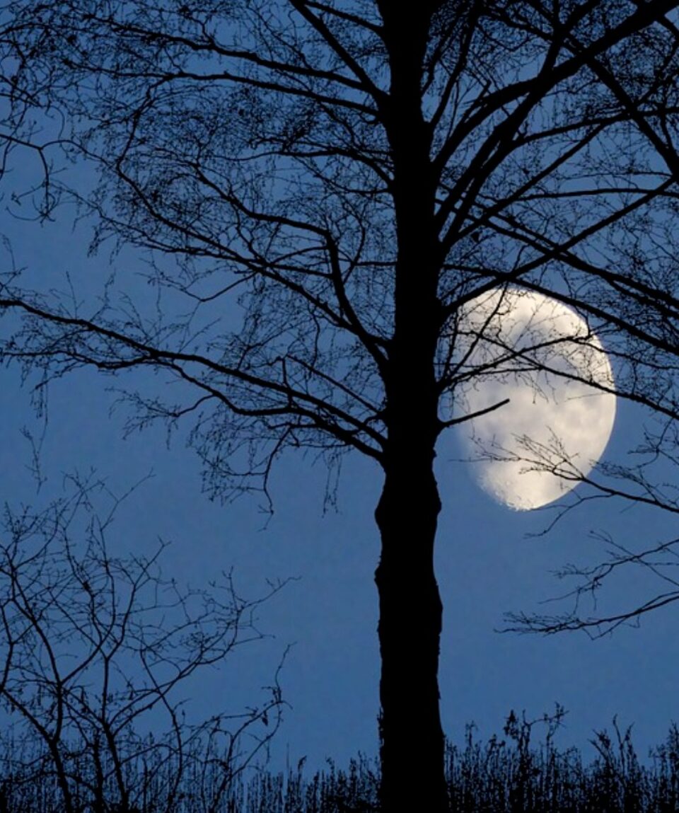 luna-crescente