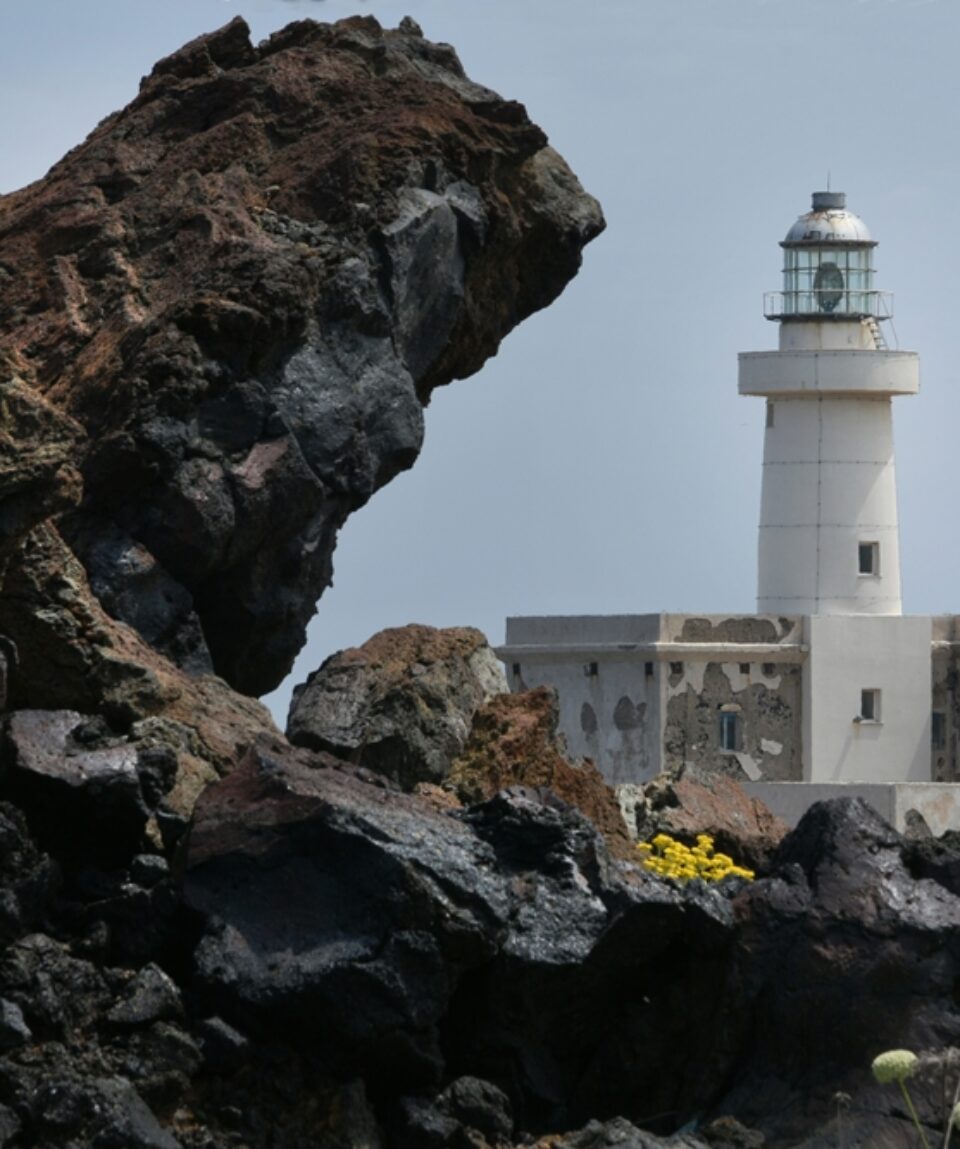 WhatsApp Image 2024-11-18 at 16.42.05