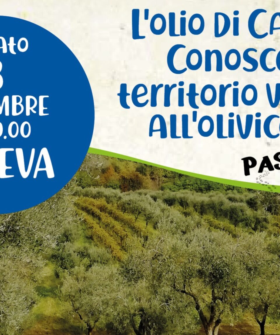 8 novembre 2025 olio caneva