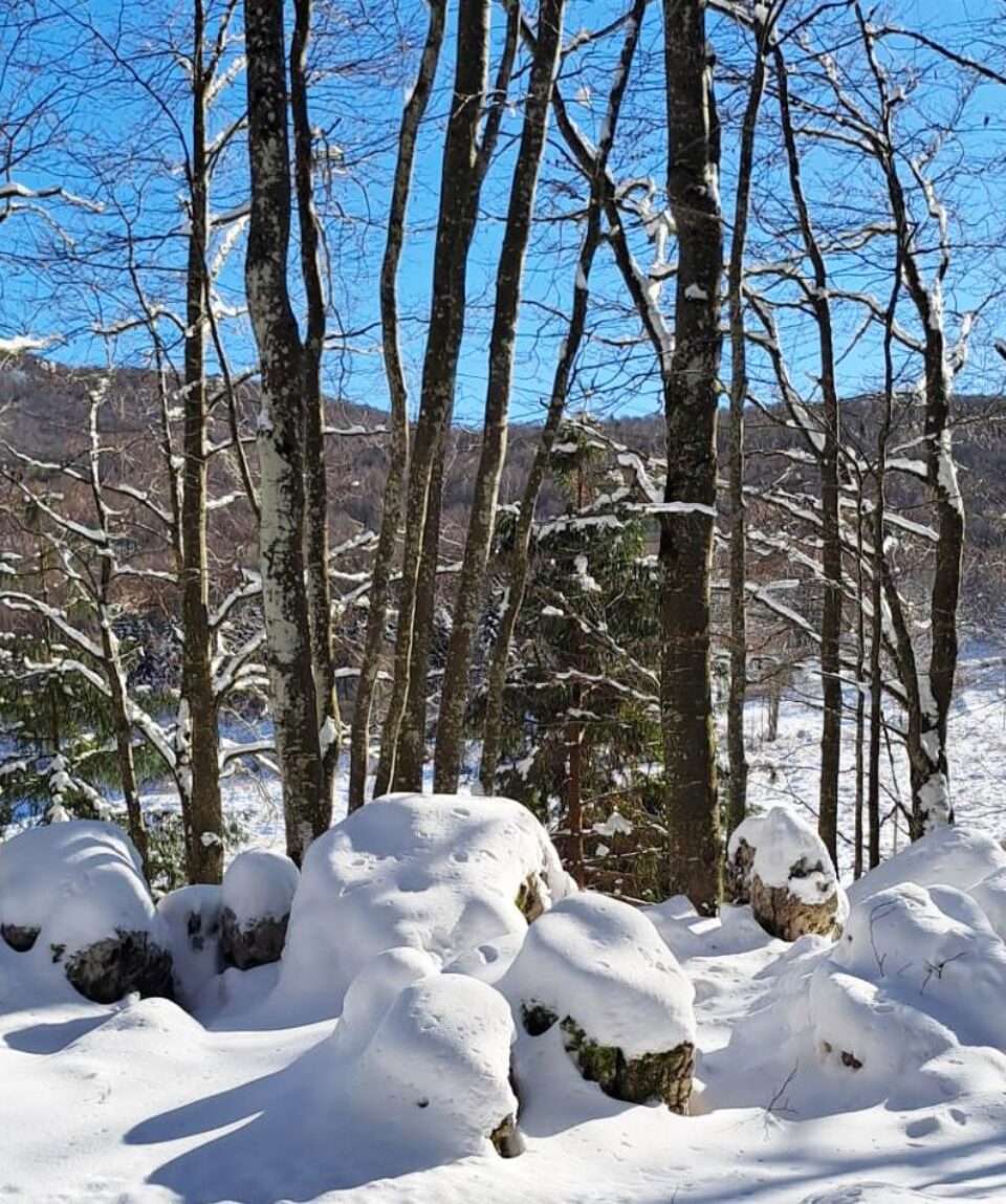 30 novembre 2025 piancavallo