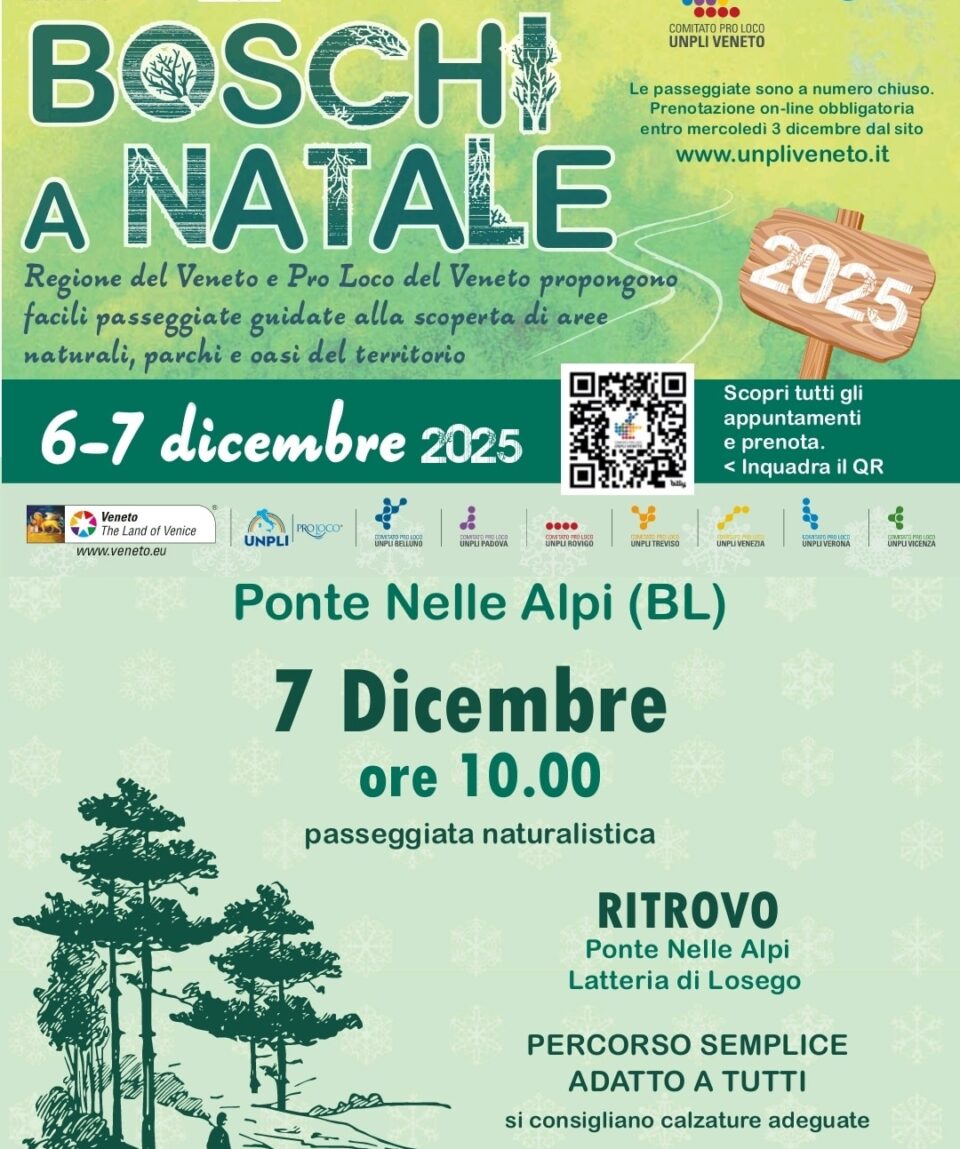 7 dicembre 2025 boschi a Natele Ponte