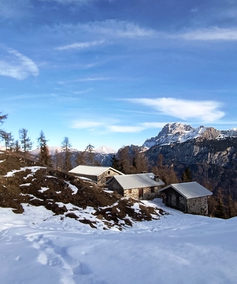 28 dicembre 2025 cencenighe