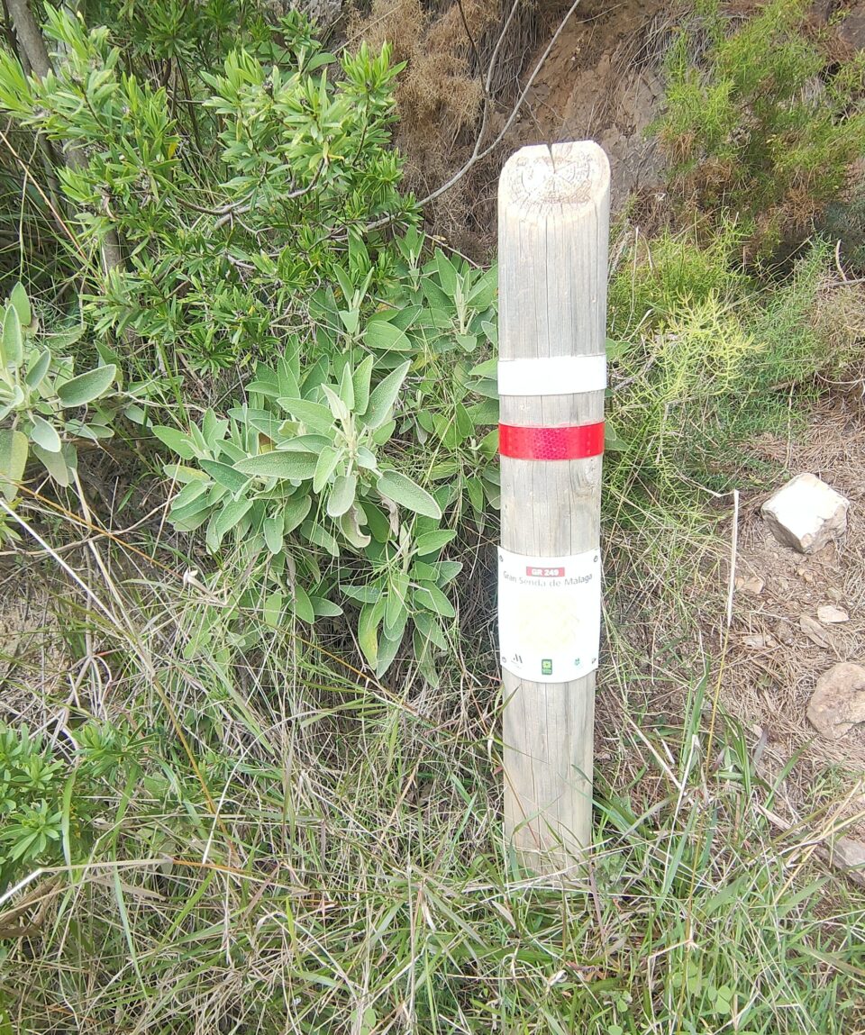 IMG20260228105313