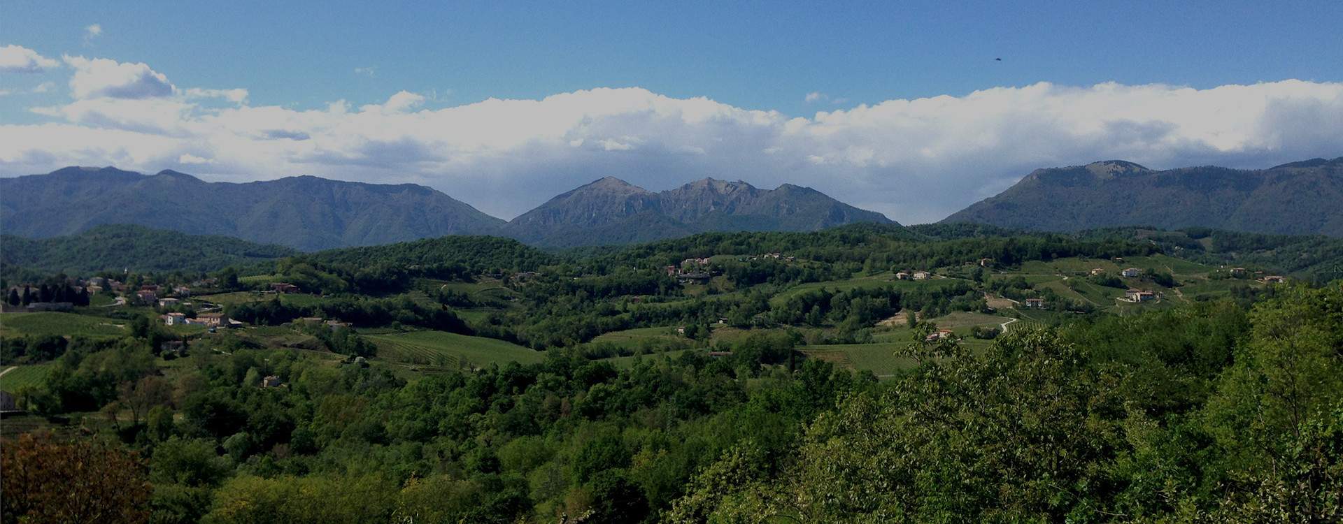 Prealpi Cansiglio Hiking Primavera